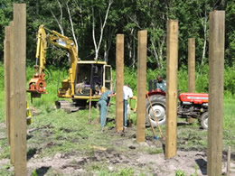 housepilings